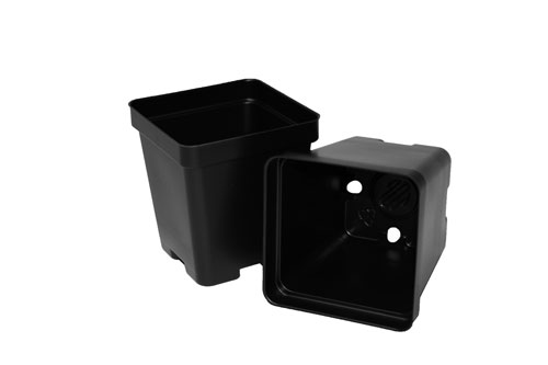 SVD 325 Black 450/case - Square Pots